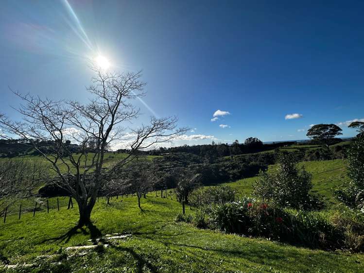 499 Wainui South Road Whakamarama_32