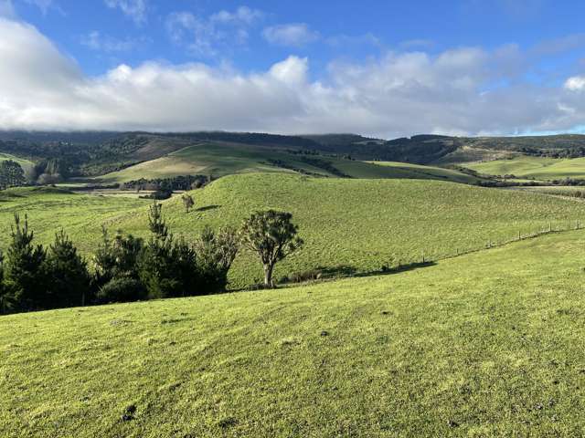 295 Stirling Road Winton Surrounds_2