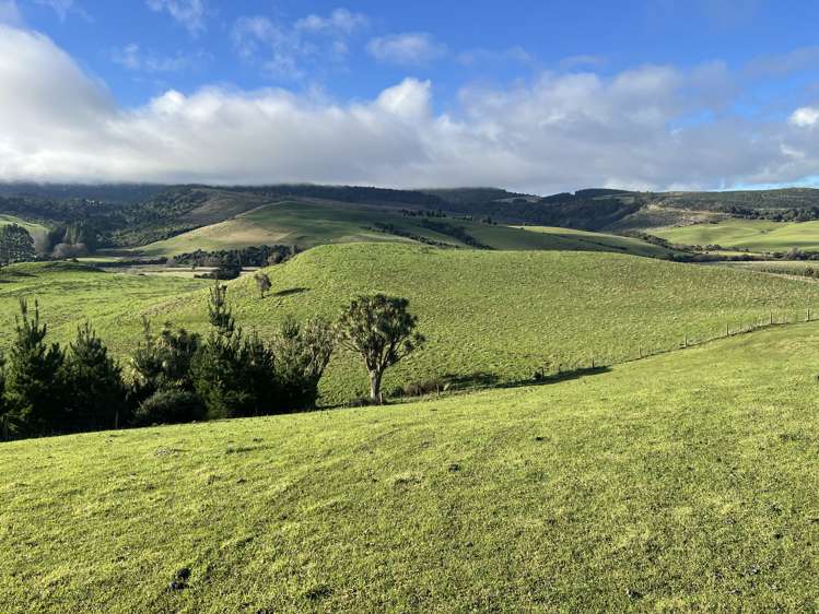 295 Stirling Road Winton Surrounds_2