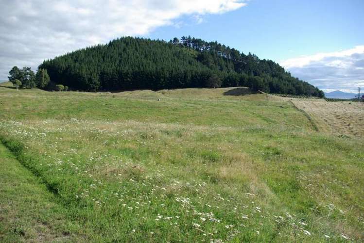 3/12 Michaels Way Maunganamu_12