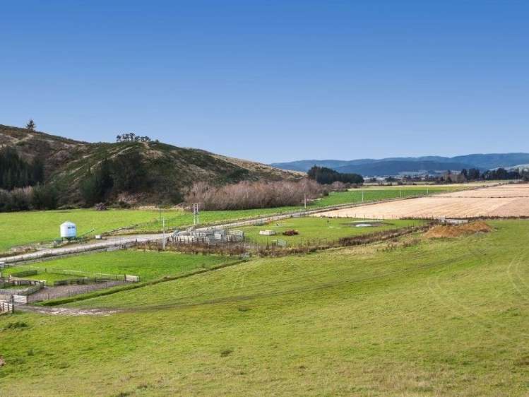 385 North Branch Road Milton_12