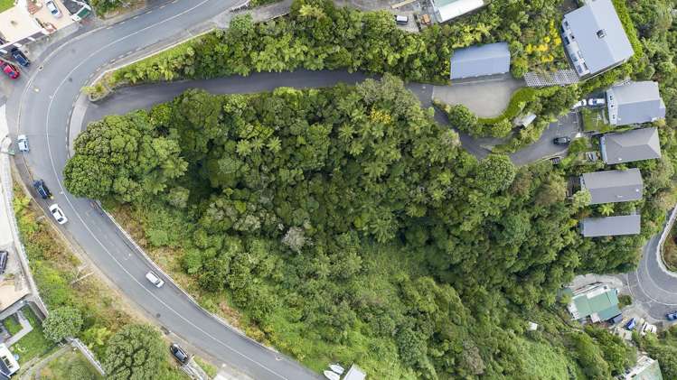 72 Farnham Street Mornington_6