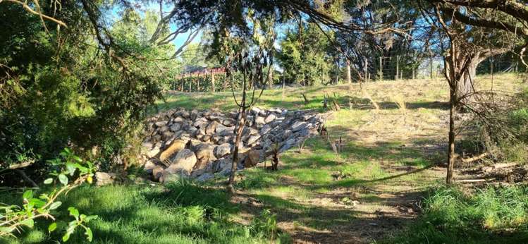 42a Brooke Lane Mangawhai_7