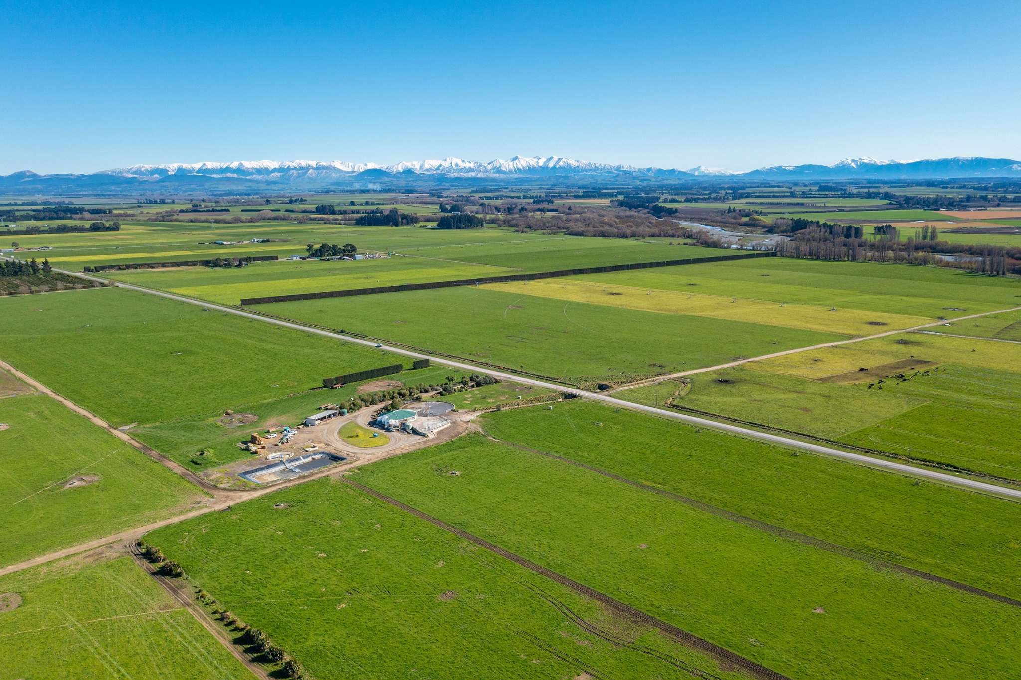 Irrigated Canterbury Plains dairy unit offers scope for growth