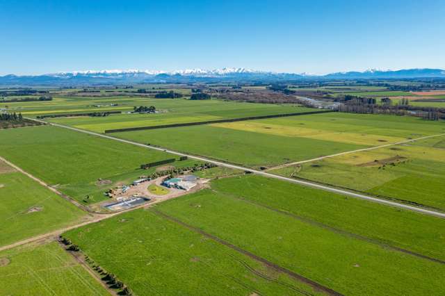 Irrigated Canterbury Plains dairy unit offers scope for growth