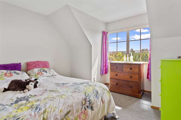 119 Forestry Road Ashley_12