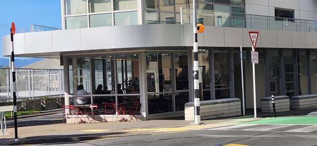 Ground/184 Molesworth Street Thorndon_1