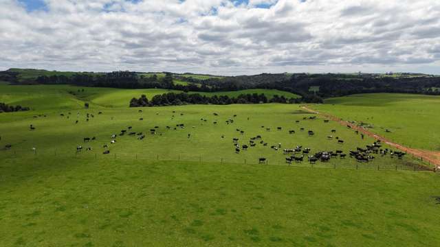 518 Mangakaretu Road Kerikeri_1