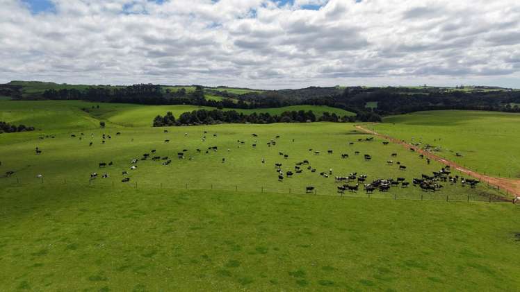 518 Mangakaretu Road Kerikeri_1