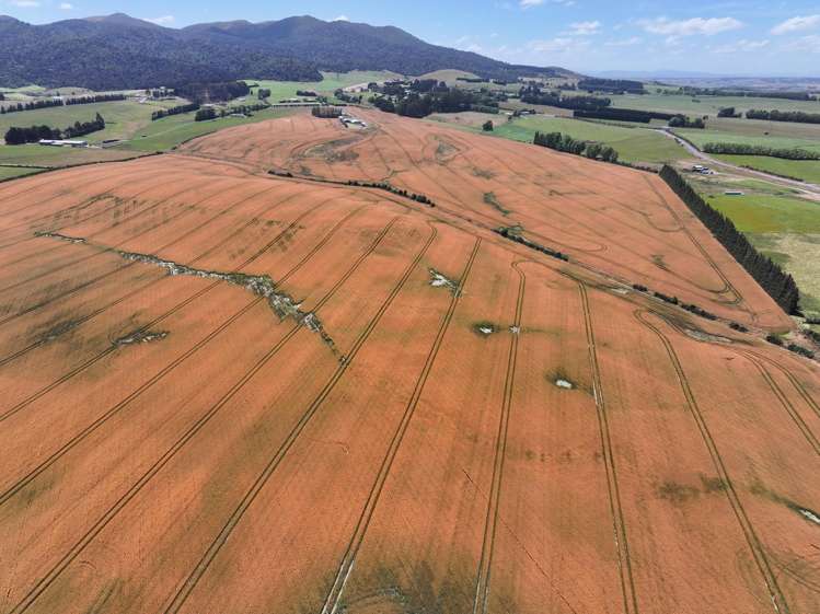 583 Reaby Road Gore_21