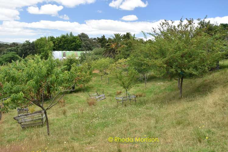 318 Franklin Road Paparoa_55