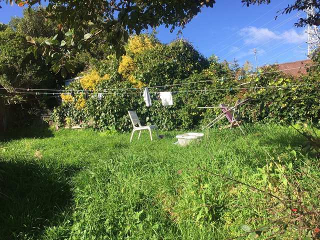 53 Durham Street Aro Valley_1