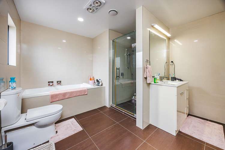 32 Helianthus Avenue Flat Bush_12