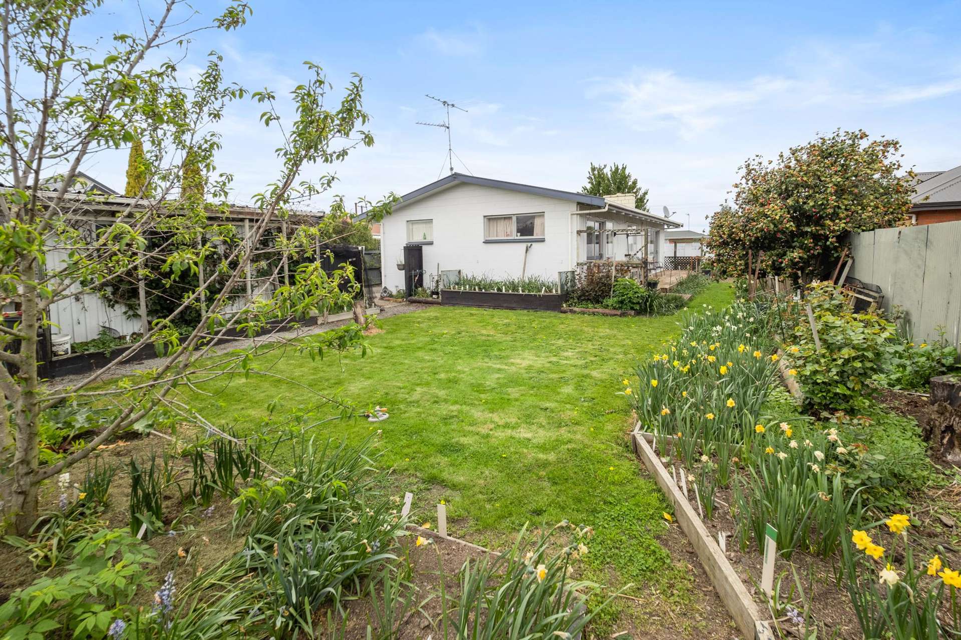 29 Agnes Street Tinwald_0