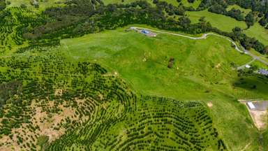 560 Diggers Valley Road_2