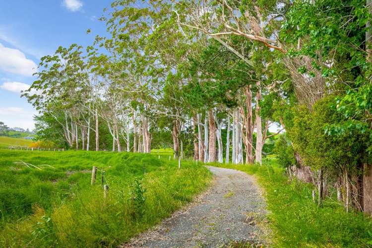 515 Kahikatea Flat Road Waitoki_3