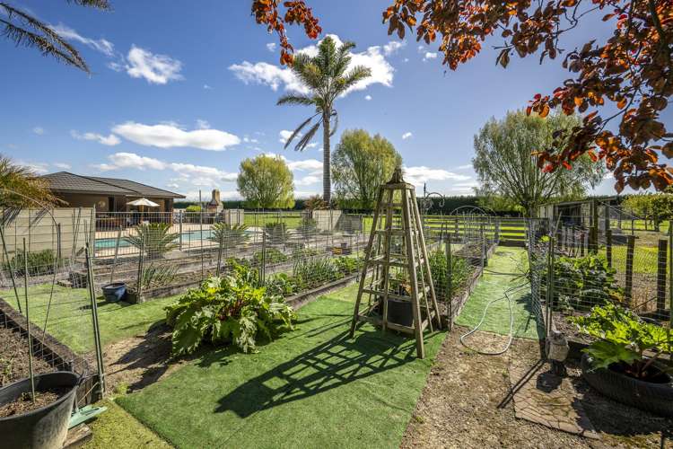 144 Longlands Road Longlands_14