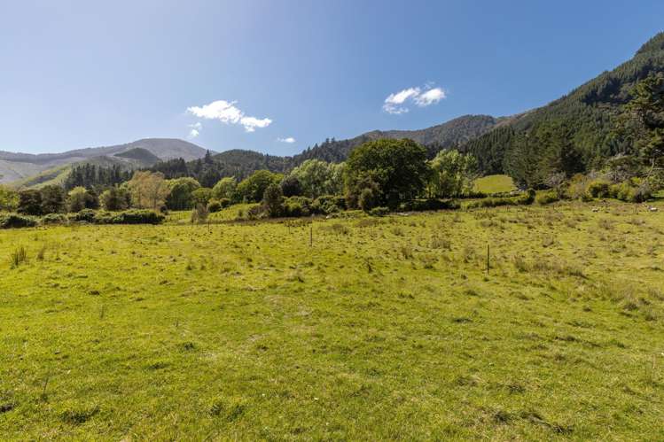 472 Wakamarina Road Canvastown_8