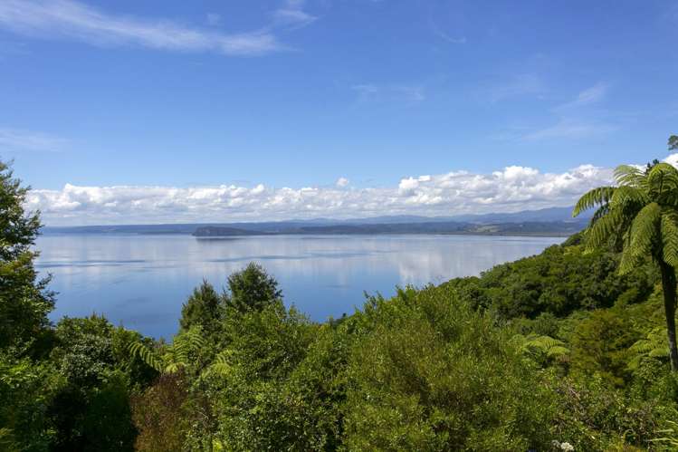 5 Puratoke Rise Pukawa_28