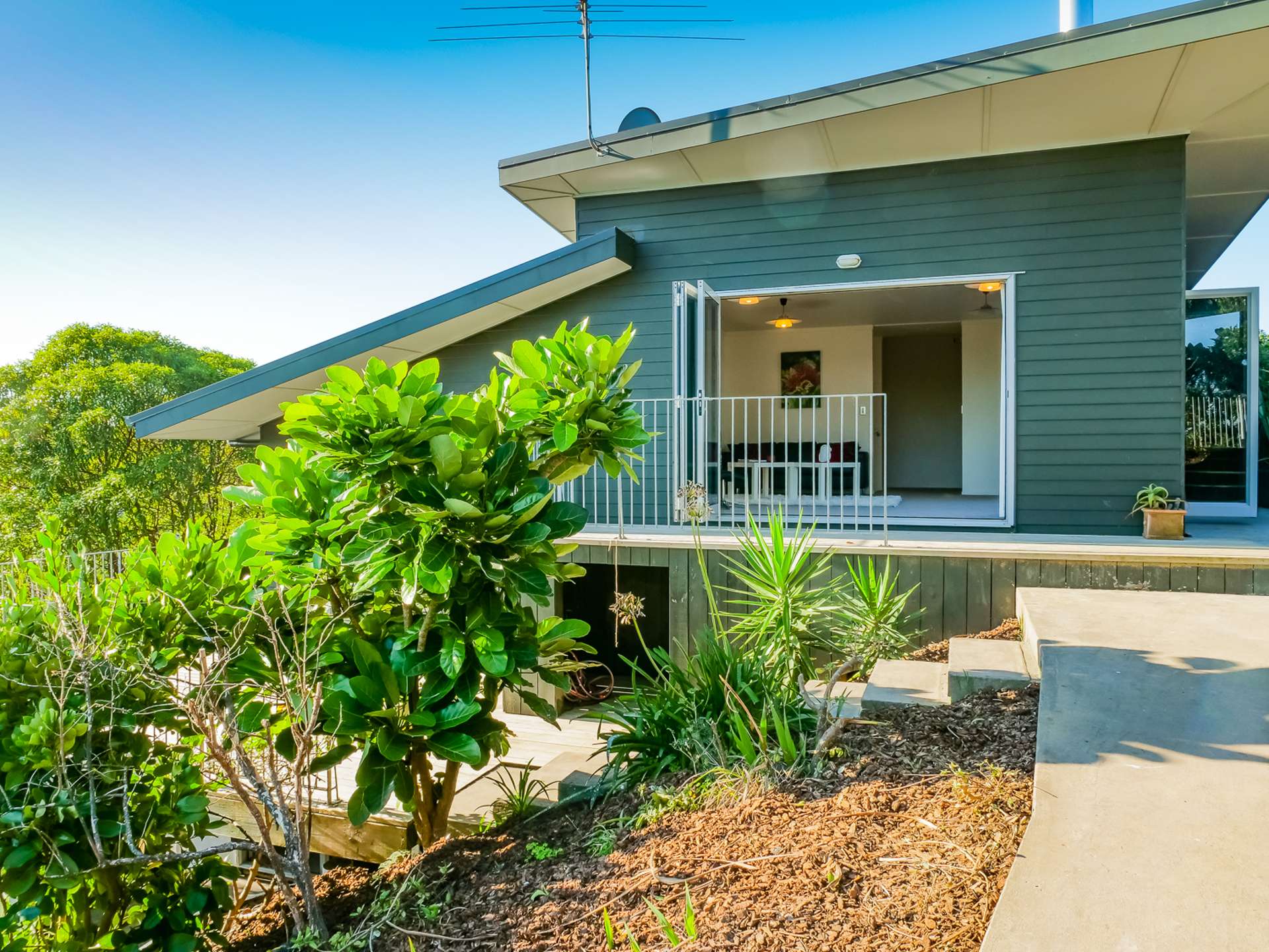 29 Palm Cove Arkles Bay_0