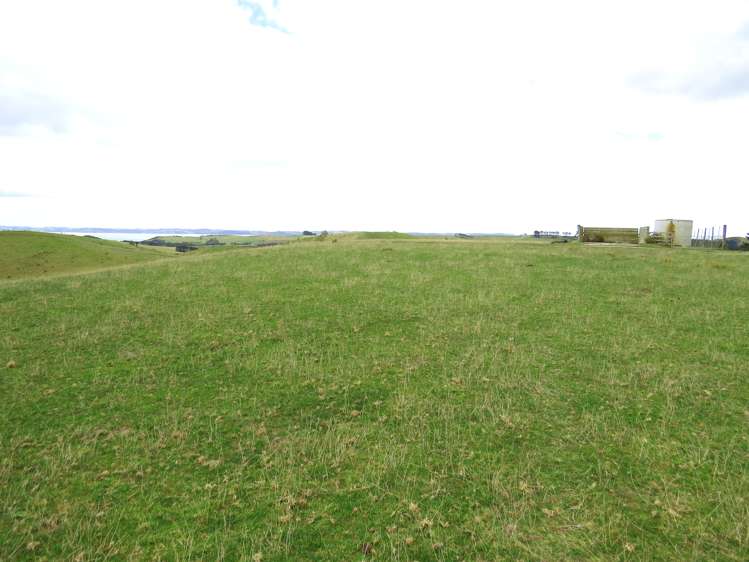 369 Burma Road Tapora_8