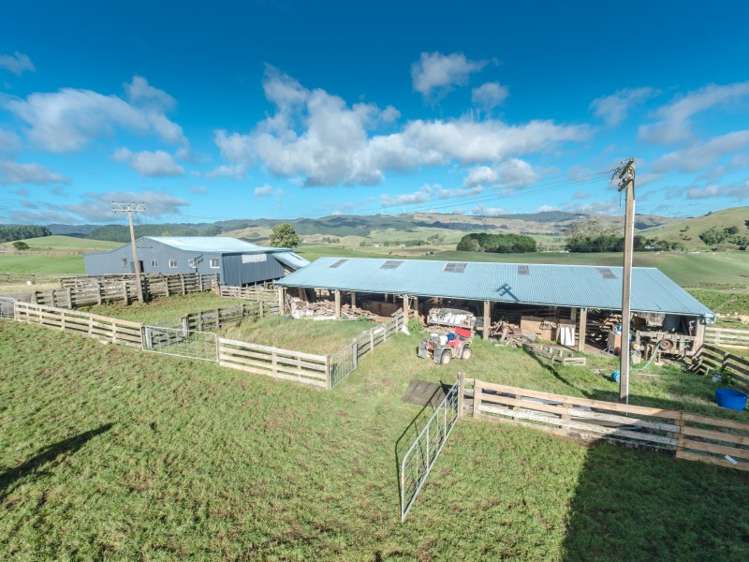 821 Waitetuna Valley Road Raglan_14