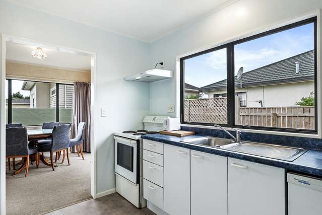 174 Bartholomew Road Levin_1