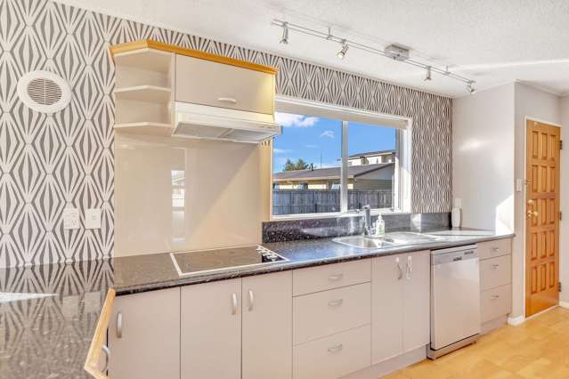 6 Higgin Place Feilding_4