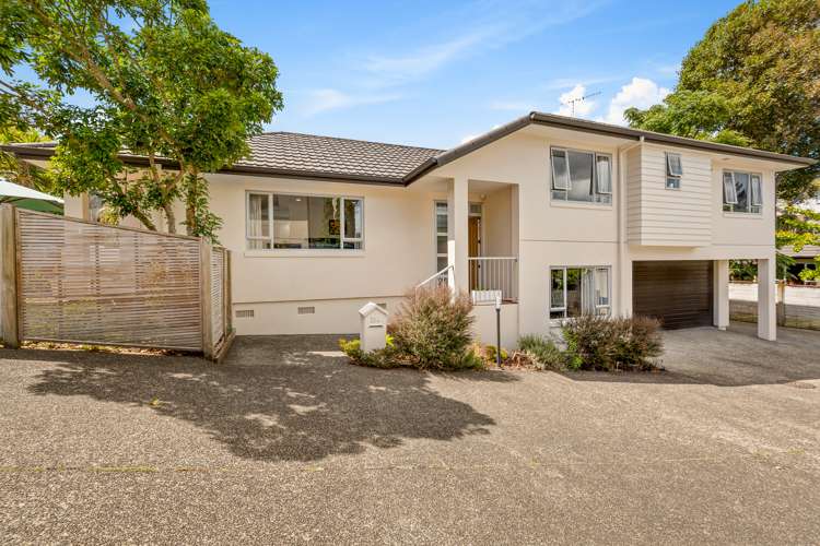 28a Fairlands Avenue Waterview_28