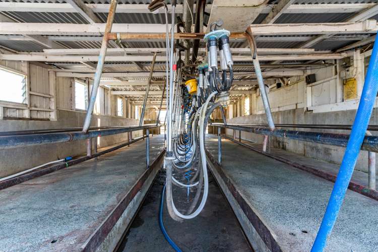 174 Gilbert Road Whangarei_10