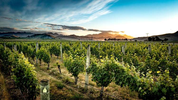 413 Upton Downs Road Seddon_8