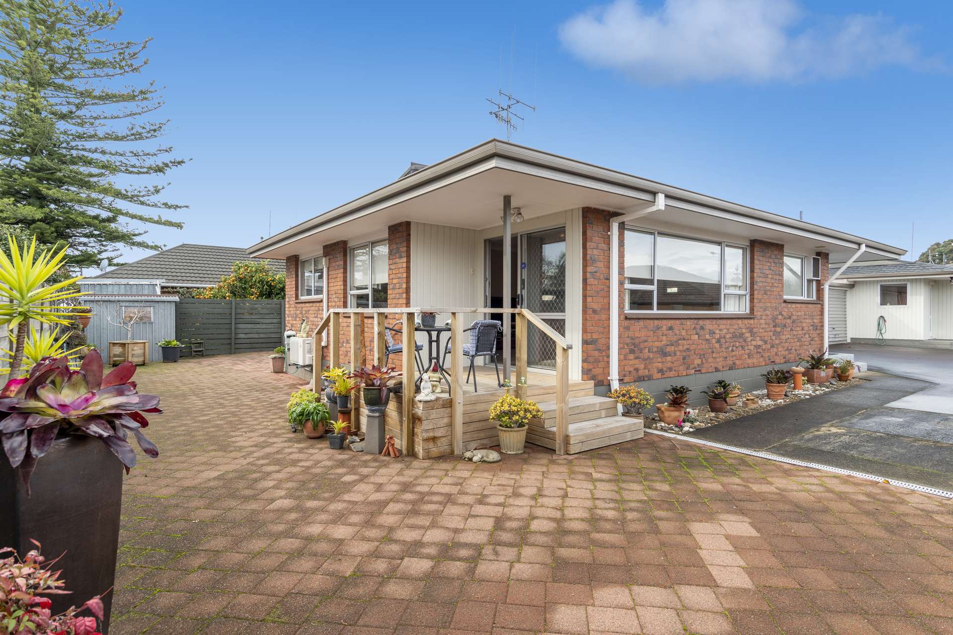 3/403 Devonport Road Tauranga South_0