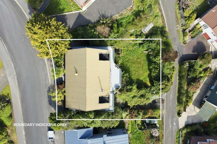 35 Aytoun Street Waverley_29