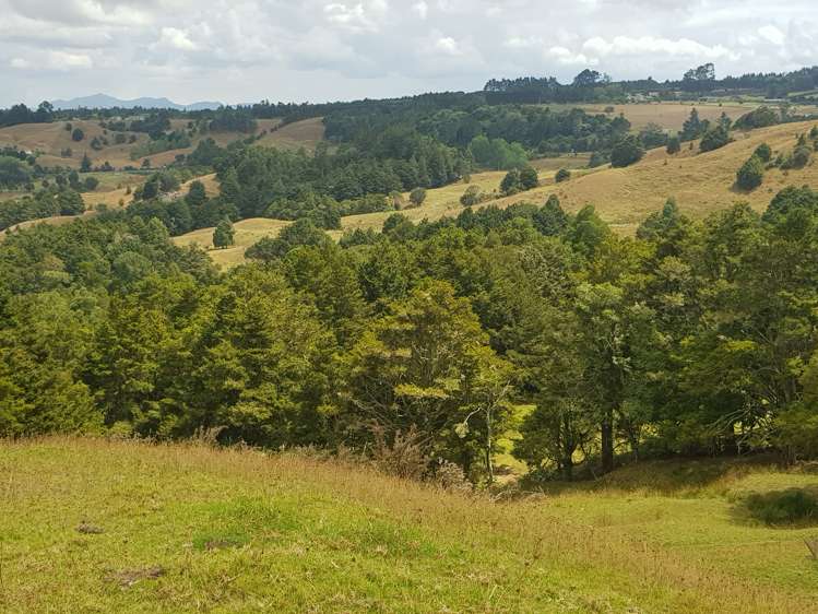 160 Otuhi Road Mangapai and Surrounds_24