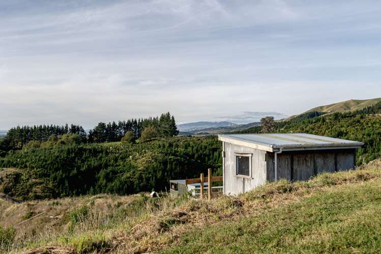 191 Ngahere Park Road Turitea_27