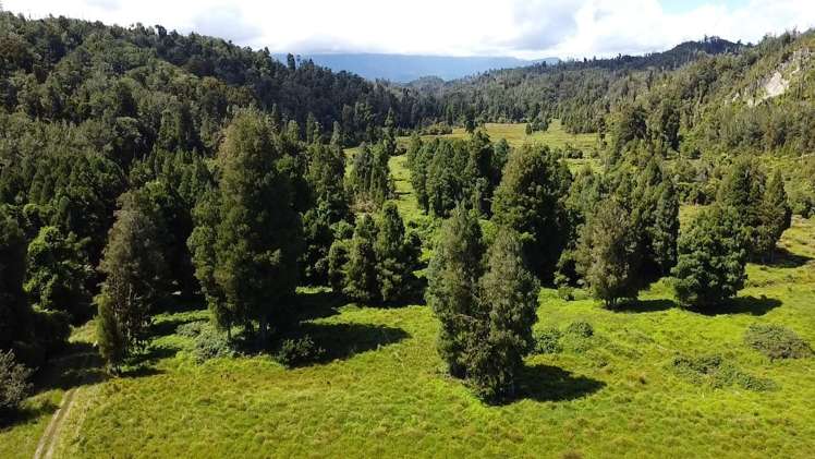250 Granite Creek Road Karamea_6