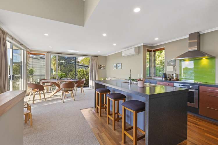 23d Violet Street Raglan_7