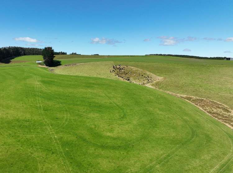 548 Mitchell Road Glenham_11