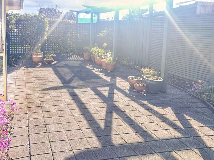 1a Hogg Crescent Masterton_9