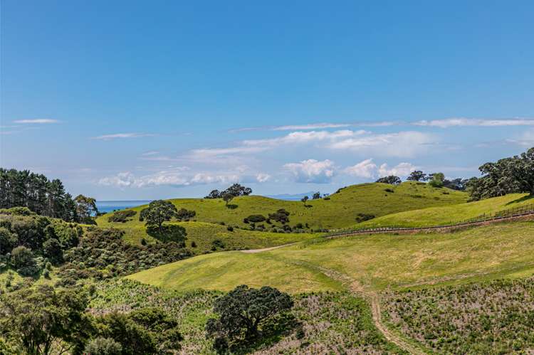 306 Sea View Road - Wawata Estate Waiheke Island_17