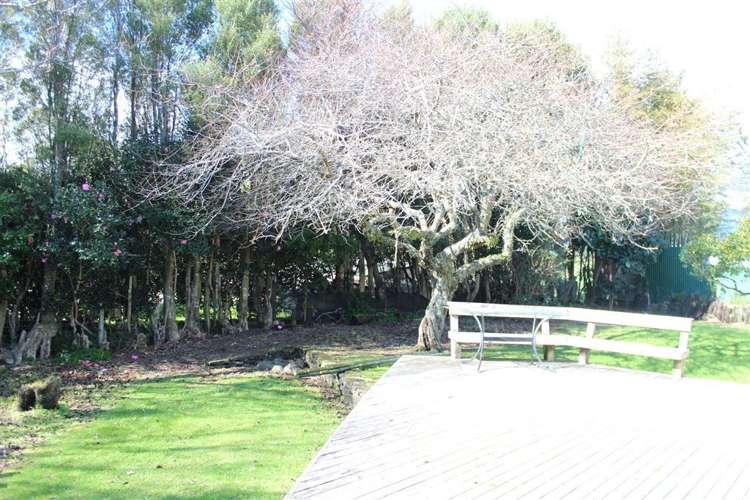 23a Curtis Street Okato_7