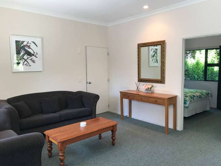 202 Palmer Mill Road Wairakei and Surrounds_26