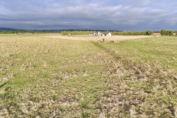 230 Purchas Road Amberley_16