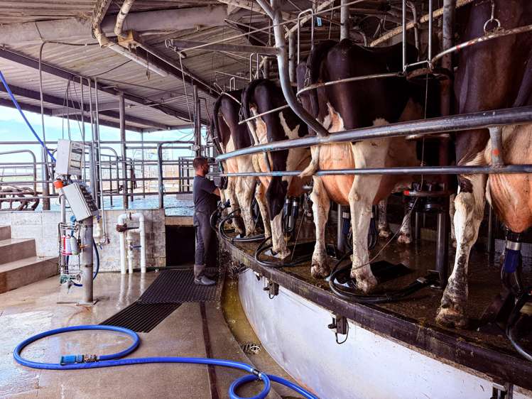 867 Hundred Line Road East South Hillend_14