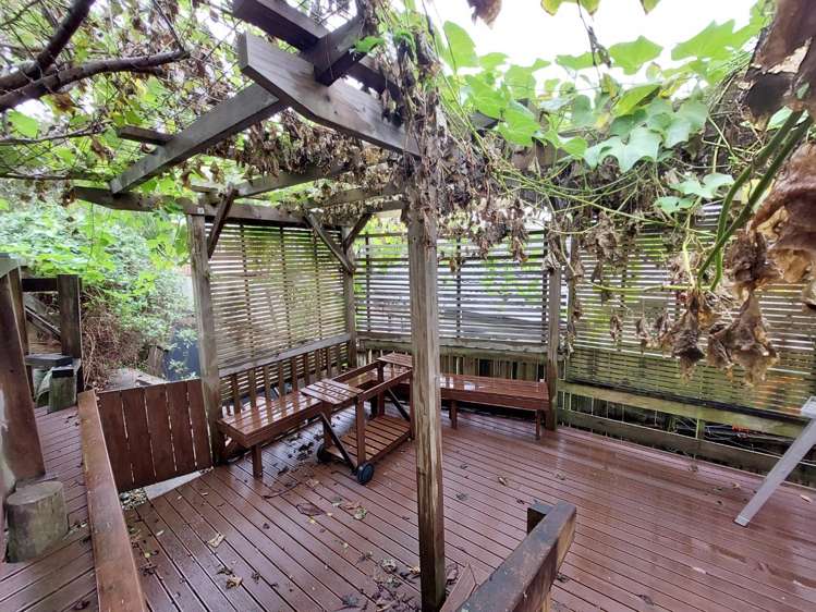 4 George Laurenson Lane Mount Roskill_10