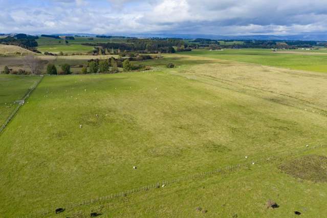 620 Taonui Road Colyton_4