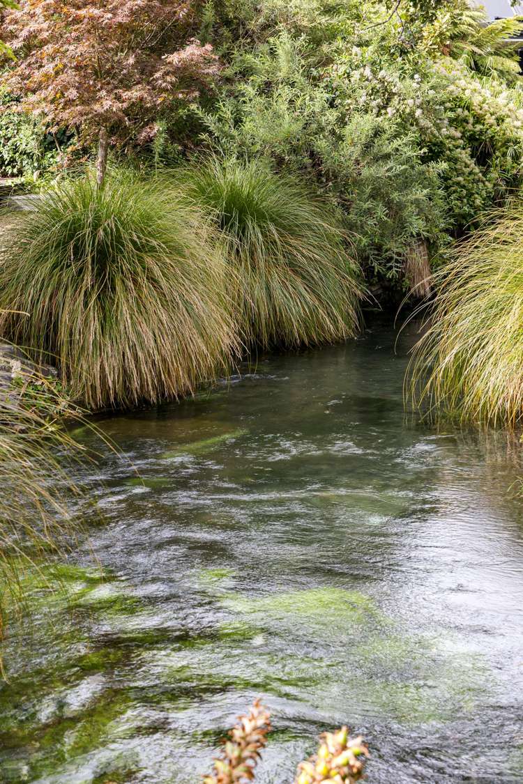 9 Kotare Street Fendalton_43