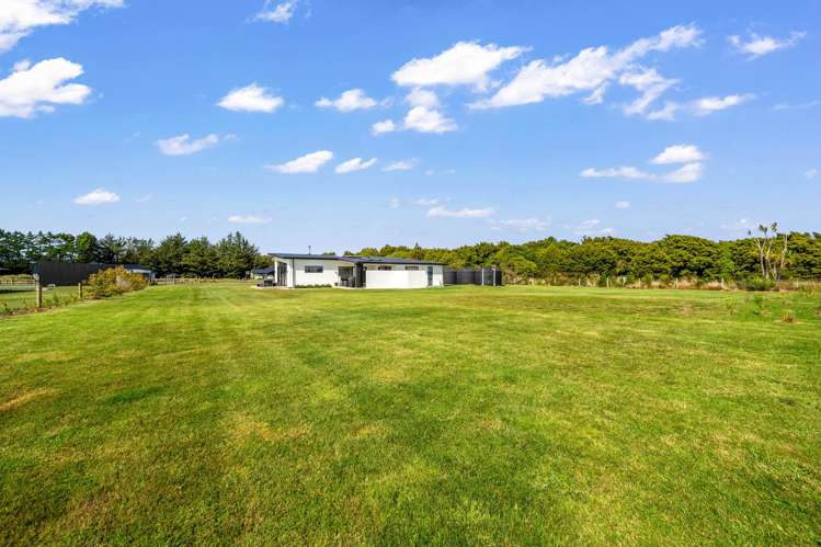 40 Ti Kouka Way Otatara_34