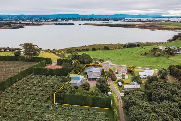 187 Matapihi Road Matapihi_22