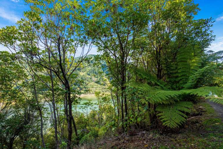 627 Port Underwood Road_4